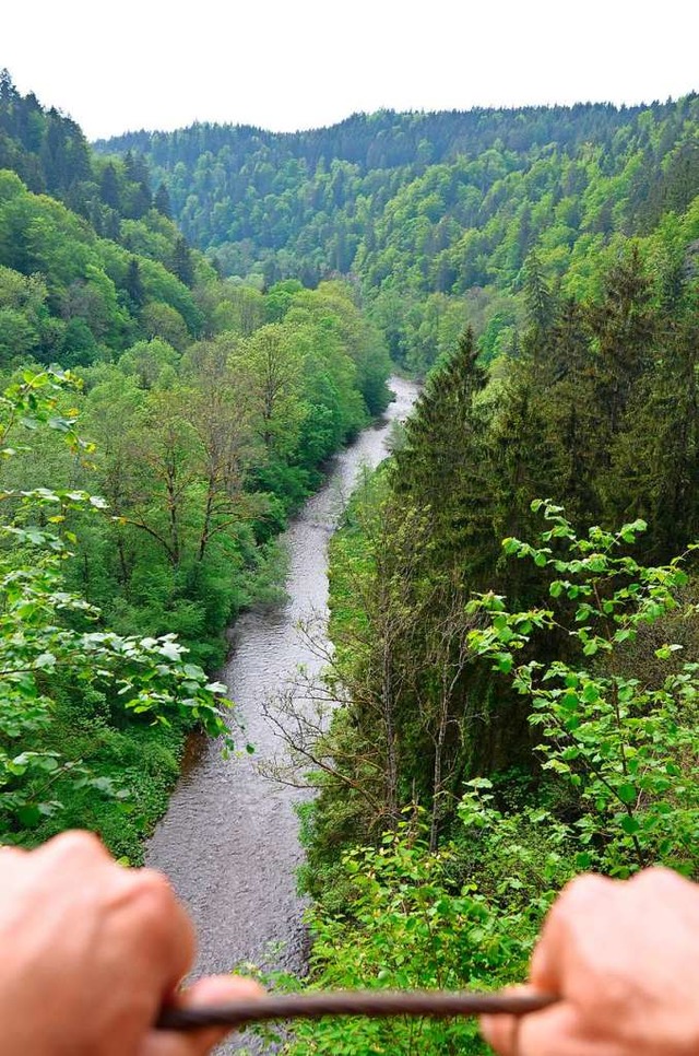 Der Aufstieg zum hchsten Punkt mit Bl...lseilen und einem Gelnder gesichert.   | Foto: Martin Wunderle