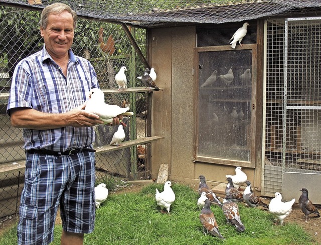 Oswald Strittmatter aus Rheinweiler ist ein sehr erfolgreicher Taubenzchter.   | Foto: Jutta Schtz