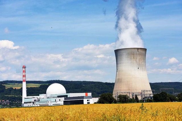 Das Atomkraftwerk Leibstadt ist zwei K...tlinie von  Waldshut-Tiengen entfernt.  | Foto: Patrick Seeger