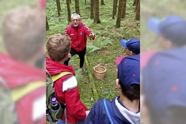 Junge Sammler finden selbst die verstecktesten Pilze