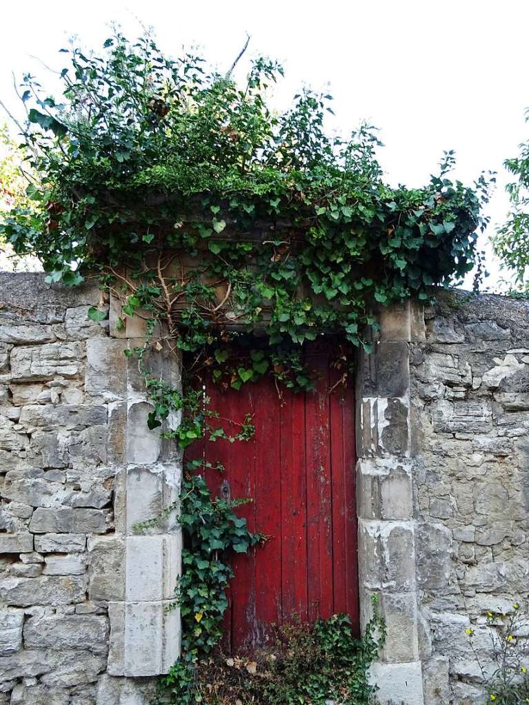 St. Didier: Am Rande des kleinen Dorfes St. Didier im Dept. Vaucluse, Provence - diese Tr wurde wohl schon lange nicht mehr geffnet...