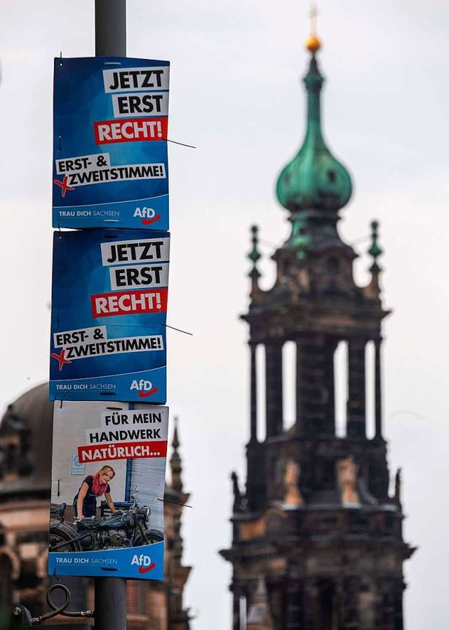 Wahlplakat der AfD in Dresden.  | Foto: JOHN MACDOUGALL (AFP)