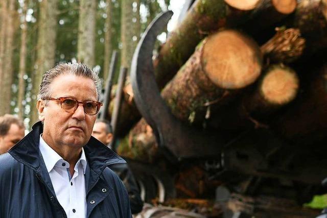 Forstminister Hauk will 80 Millionen Euro für den Wald bereitstellen