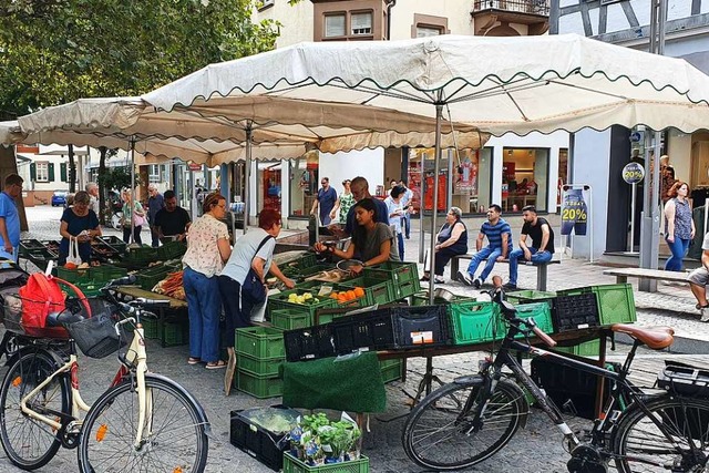 Am Donnerstag bot nur ein Hndler seine Waren auf dem Schlossplatz an.  | Foto: Karl Kovacs