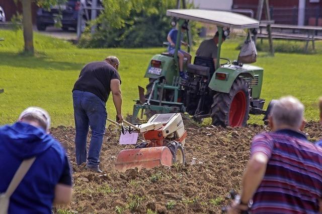 Im Dorf herrscht hohe Bulldogdichte