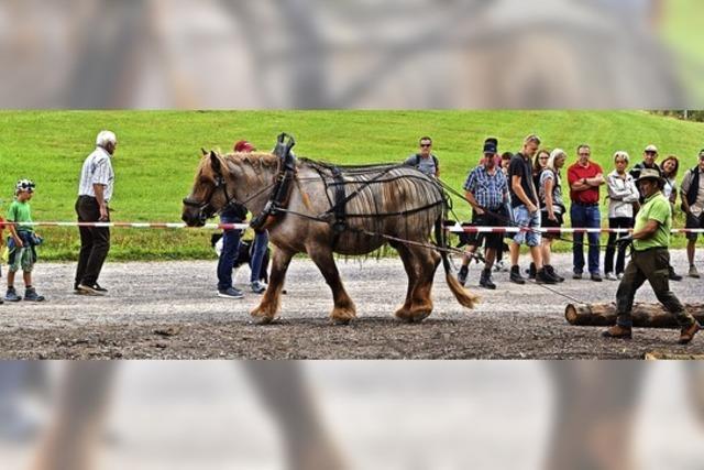 Mit der Feuerwehr zum Waldfest auf die Bergerhhe