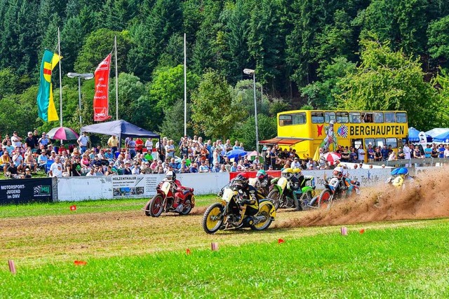 Rasante Rennen auf der Grasbahn am Waldsee.  | Foto: Jens Krner