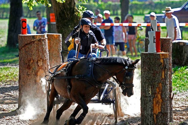 Meisterschaft der Einspnner-Ponys: Sa... vom  RFV Ottenheim in Hindernis vier.  | Foto: Pressebro Schaller