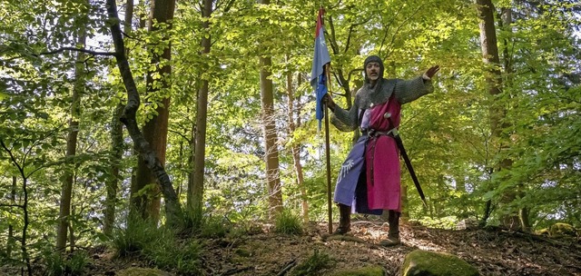 Burgexperte Hans-Jrgen van Akkeren wird Besucher ber das alte Gemuer fhren.  | Foto: Johanna van Akkeren