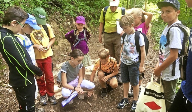 Spurensuche im Wald.   | Foto: Edwin Dreher