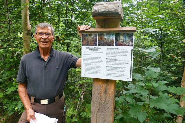 Bernhard Meier pflegt seinen Wald. Wan... Wissenswertes ber das Modellprojekt.  | Foto: Ingrid Bhm-Jacob