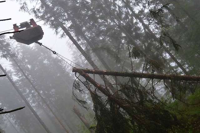 Schwebend: Eine Laufkatze transportiert  Stmme am Tragseil bergauf.  | Foto: Arwen Stock