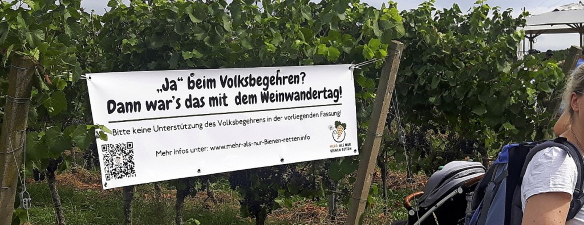 Transparent der Initiative &#8222;Mehr...ag in den Reben oberhalb von Offenburg  | Foto: Hubert Röderer
