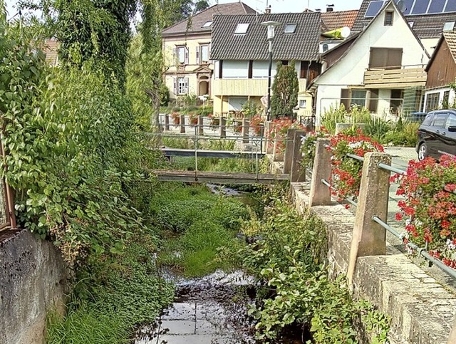 &#8222;Zugewuchert&#8220;: Der Lippisbach in Kandern  | Foto: Karin Khn und Reinhold Ewert