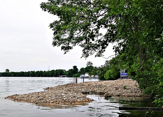 Mit den Einnahmen aus dem Fischereifes... Aufschttung von Kiesinseln am Rhein.  | Foto: Vollmar