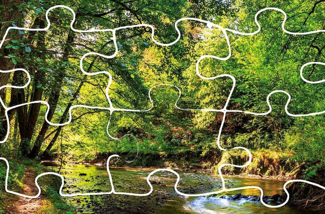 Mit diesen 5 kleinen Beiträgen leistet man einen Beitrag zum ...