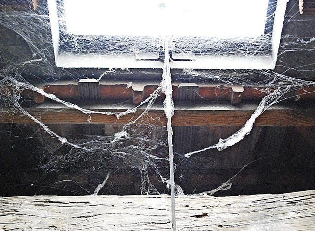 Oben unterm Dach ist keine Nutzung mg...1; feine  Spinnweben gehen aber immer.  | Foto: Sylvia-Karina Jahn