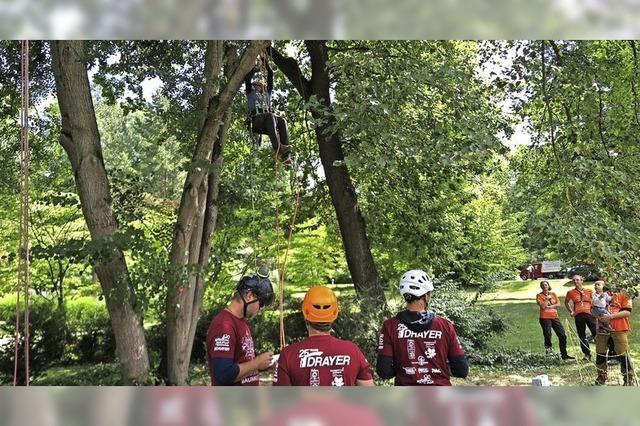 Sddeutsche Meisterschaft im Baumklettern