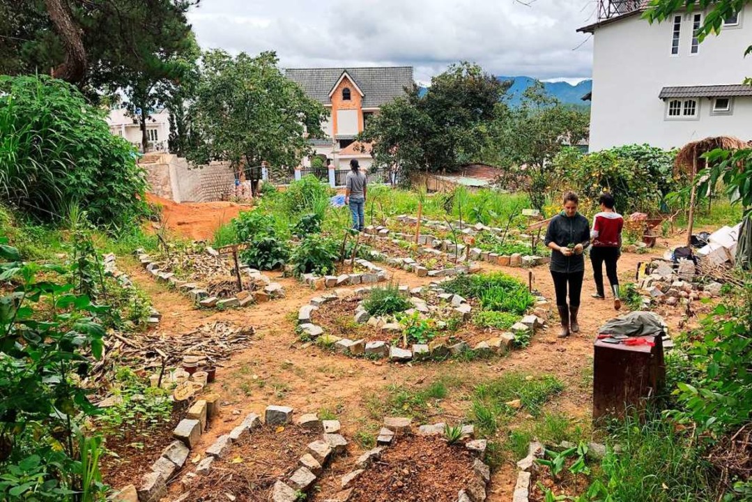 Der Bee Garden ist der erste Gemeinsch...ten in Da Lat fr Menschen und Bienen.  | Foto: Leonie Hofsss