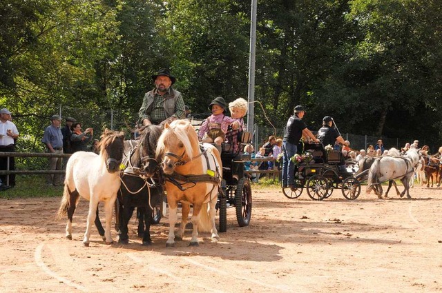 Der Fuballplatz in Kandern  wurde zum...on Kutschfahrten und Turniergespannen.  | Foto: Regine Ounas-Krusel