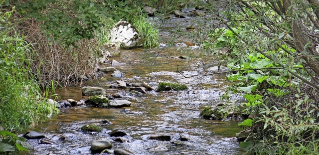 Friedlich fliet die  Steina heute gen...fen, um die Steina flbar zu machen.   | Foto: Erhard Morath