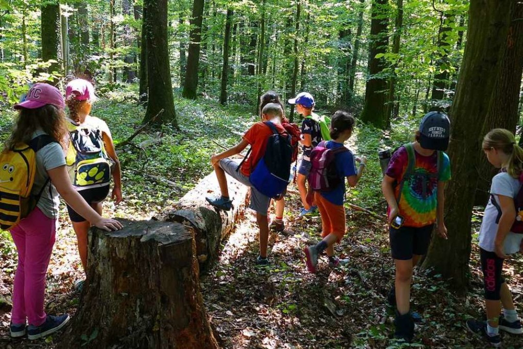 Der Weg zum Ziel war beschwerlich. Doc...beim Geocaching  den ersehnten Schatz.  | Foto: Jacqueline Ezsl