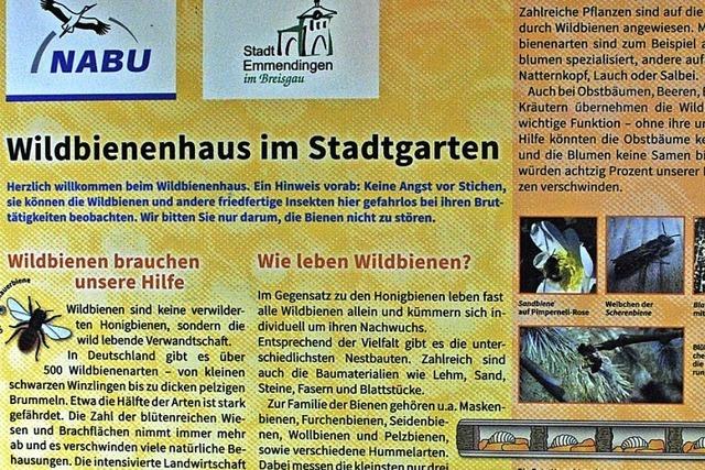 Infotafel fr Haselwald-Spitzmatten?