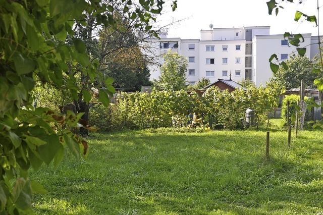 Baugebiete sorgen fr Diskussion