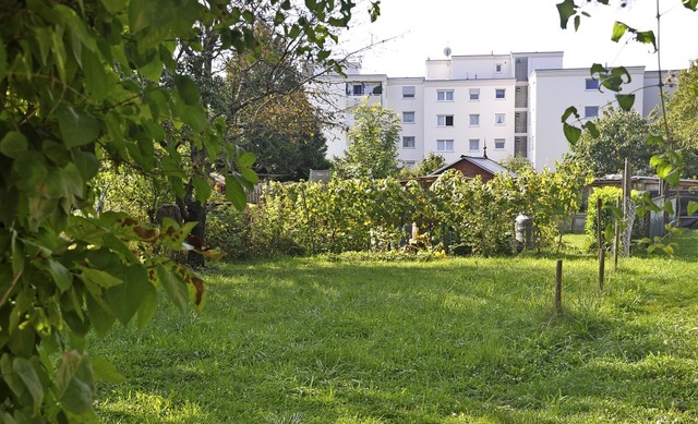 Ein Baugebiet  knnte am nrdlichen En...- jetzt sind dort noch Schrebergrten.  | Foto: Jutta Schtz