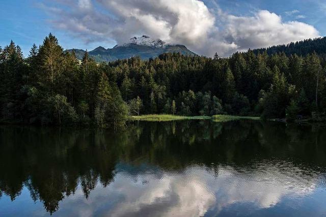 Basler Forscher stoen auf unerwarteten Effekt der Klimaerwrmung bei Seen