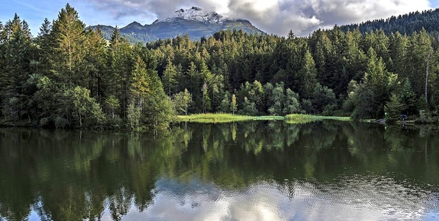 Vor allem bei kleineren Seen trete das Phnomen auf (Symbolfoto).  | Foto: Gian Ehrenzeller (dpa)