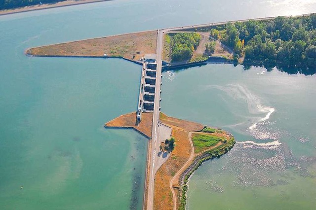 Der Rheindamm bei Nonnenweier, ber den weiterhin  der Autoverkehr flieen soll.  | Foto: Michael Bamberger