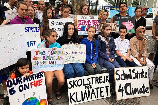 Die Schulstreiks haben die Klimadebatte deutlich vorangetrieben.  | Foto: Richard Drew (dpa)