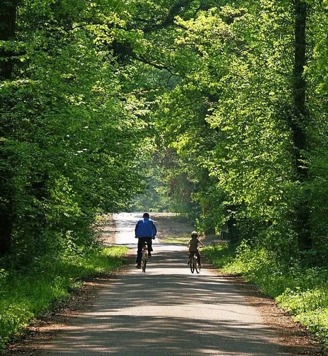 Der Rheinwald wird durch die kologisc...nglich sein als die Kritiker betonen.   | Foto: hans-jrgen trul