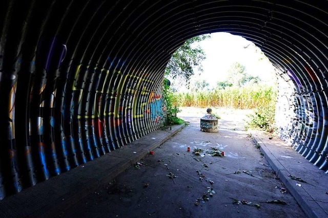 Der Tunnel schon wieder ohne Zaun.  | Foto: Ingo Schneider