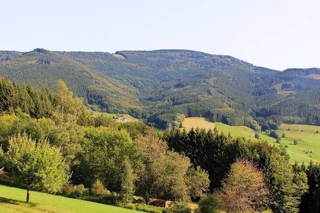 Keine Windkraftanlagen auf dem Gschasikopf – zum Schutz des Auerhuhns