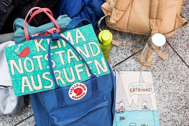 Grne und SPD wollen den Klimanotstand fr Rheinfelden