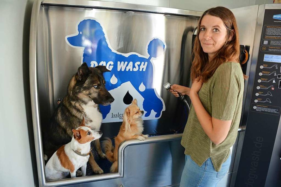 Schäferhund Fenris schaut etwas skepti...schprogramms die Dusche in Gang setzt.  | Foto: Hannes Lauber
