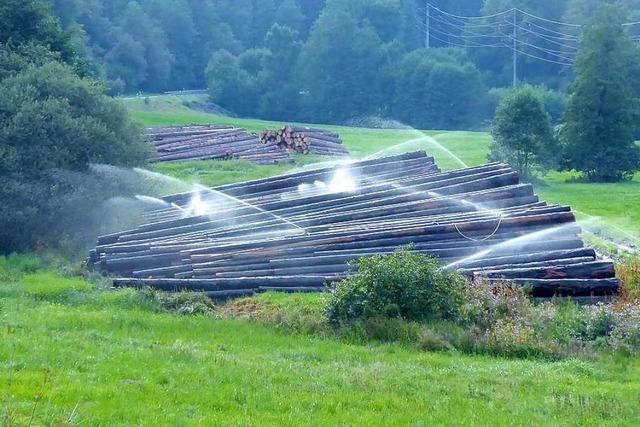 Warum das Holz auf dem Lagerplatz in Tegernau ständig beregnet wird