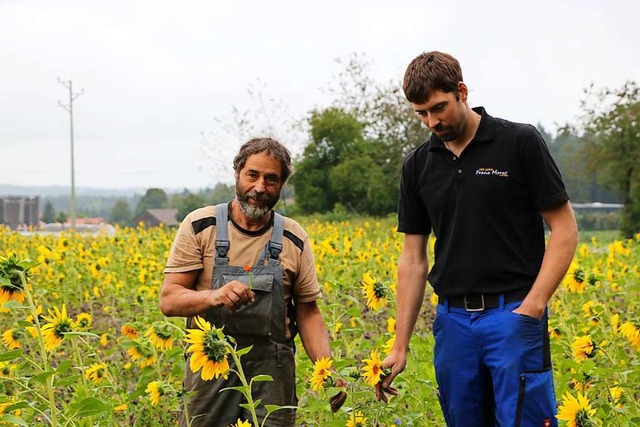 Fridolin (links) und Daniel Duttlinger...hwiese am &#8222;Schneckenbuck&#8220;.  | Foto: Martha Weishaar