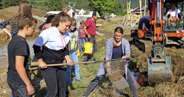 Eggingen: Unter groem Interesse der D...se in den neuen Bachlauf umzusiedeln.   | Foto: Yvonne Wrth