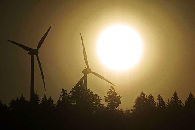Freiburger Staatsrechtler bestreitet Nutzen der Windkraft für den Klimaschutz
