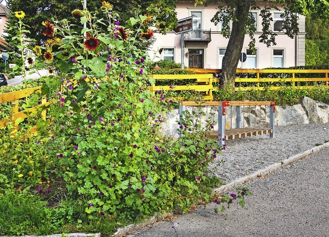 Farbenprchtig entwickelt sich die neu...reich des Pausenhofs der Grundschule.   | Foto: Wilfried Dieckmann