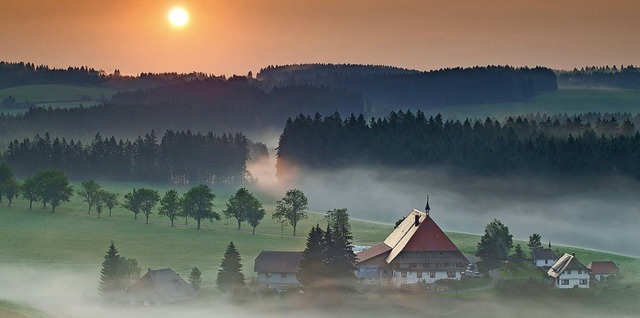   | Foto: Martin Schulte-Kellinghaus