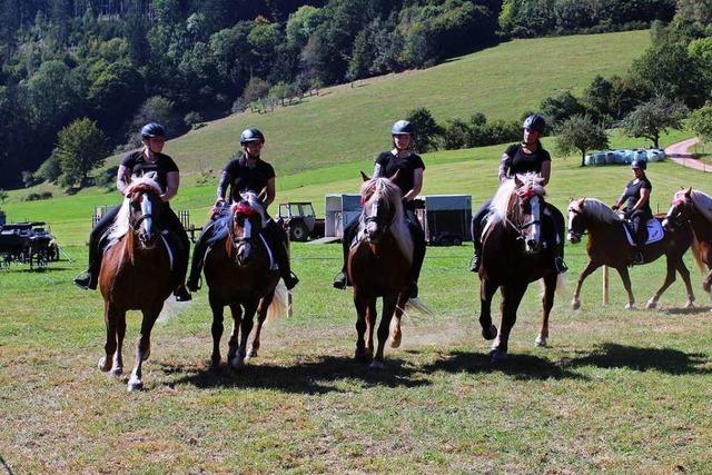 Wo das Herz fr Pferde hher schlgt: Reit- und Fahrfest in Prechtal