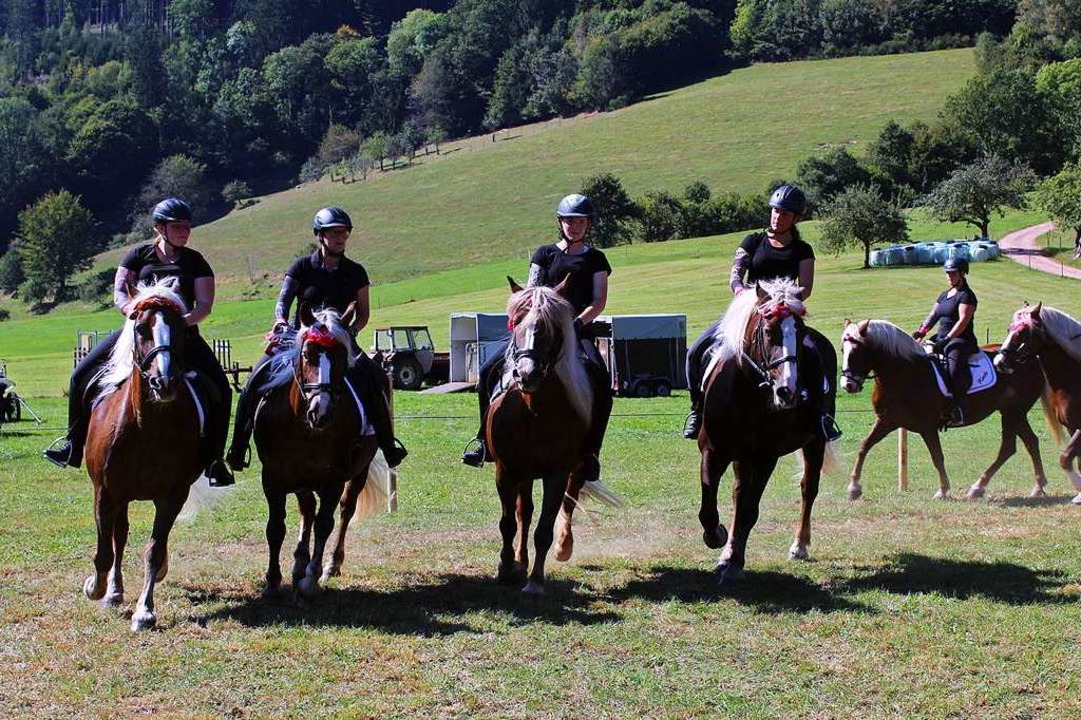 Die groe Reitquadrille begeisterte da...exakt, sogar die Mhle gelang perfekt.  | Foto: Karin Hei