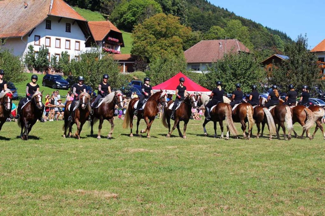 Die groe Reitquadrille begeisterte da...exakt, sogar die Mhle gelang perfekt.  | Foto: Karin Hei