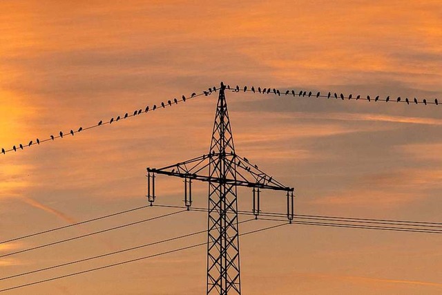 Eon gehrt bald ein Groteil der deutschen Stromnetze.  | Foto: Patrick Seeger (dpa)