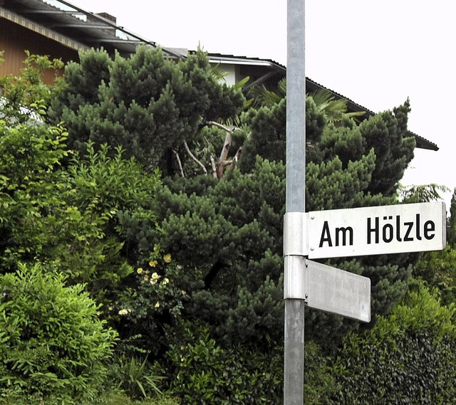 Im stark gewachsenen Wohngebiet Hlzle...rufanlage 1964 noch einmal erweitert.   | Foto: Ernst Brugger