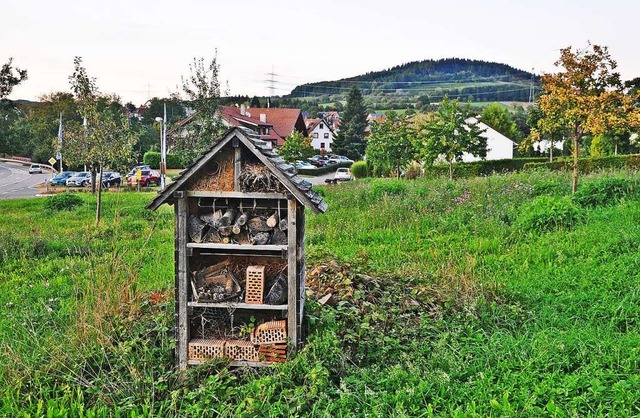 Ein Bienenhotel steht bereits auf der ...cheinlich doch keine Bienenwiese wird.  | Foto: Rolf Rhein